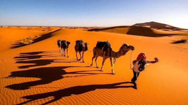 世界最大的沙漠叫什么名字（撒哈拉沙漠在哪个国家）-第3张图片