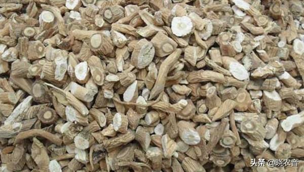一年亩收入5万的药材(国家扶持的种植药材有哪些)-第3张图片 一年亩收入5万的药材(国家扶持的种植药材有哪些)-第3张图片