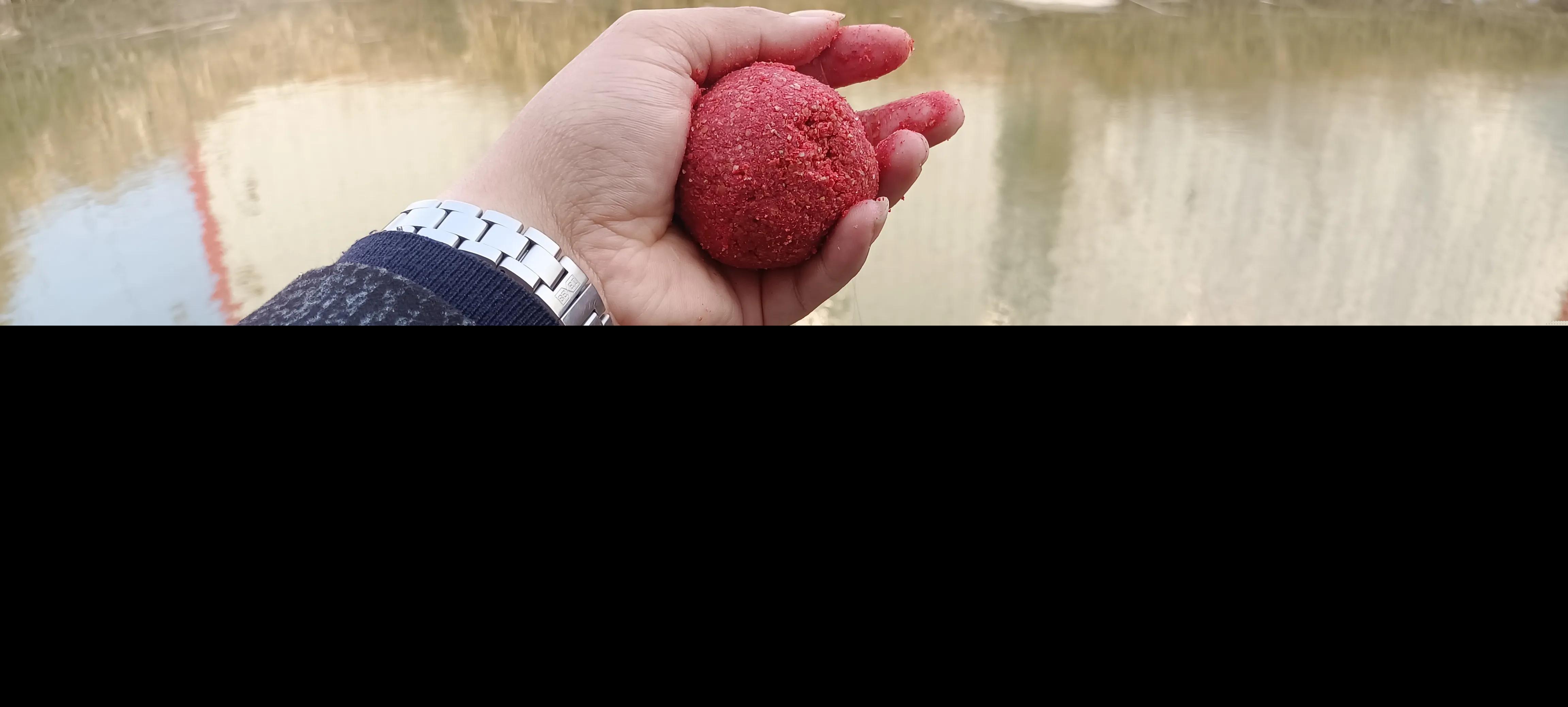 鲤鱼什么季节最好钓（一年中野钓鲤鱼最佳季节是什么时间）-第2张图片
