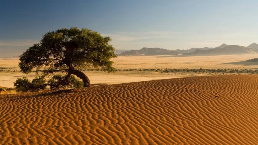 沙漠的沙子可以盖房子吗（沙漠里的沙子为什么不能建房）-第2张图片