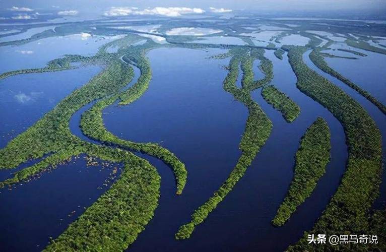 亚马逊河十大恐怖生物（亚马逊热带雨林区的特有生物）-第1张图片