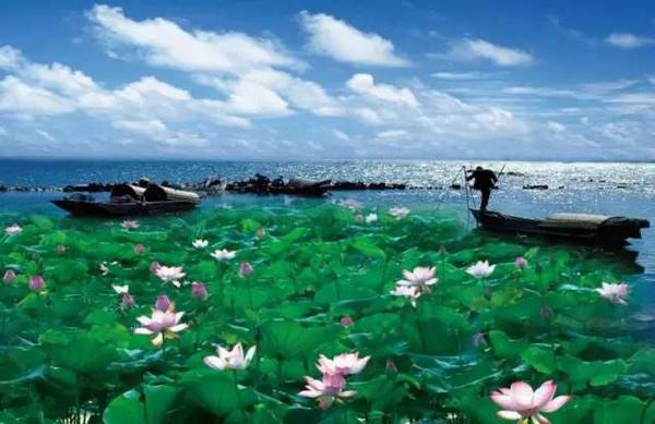 我国著名的鱼米之乡是哪个省（湖北省被誉为鱼米之乡）-第1张图片