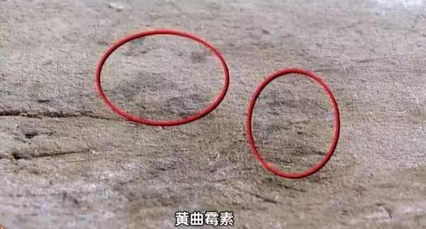 家里的碗柜生霉怎么办(消毒碗柜发霉怎么办)-第13张图片 家里的碗柜生霉怎么办(消毒碗柜发霉怎么办)-第13张图片