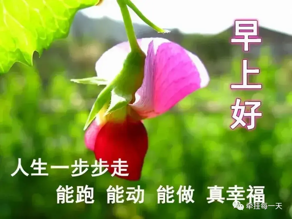 天气冷了关心问候朋友的话有哪些-第2张图片 天气冷了关心问候朋友的话有哪些-第2张图片