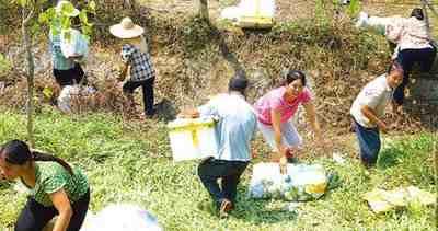 承包商收花生遭数百村民哄抢-承包商收割化身村民尾随捡拾-第3张图片