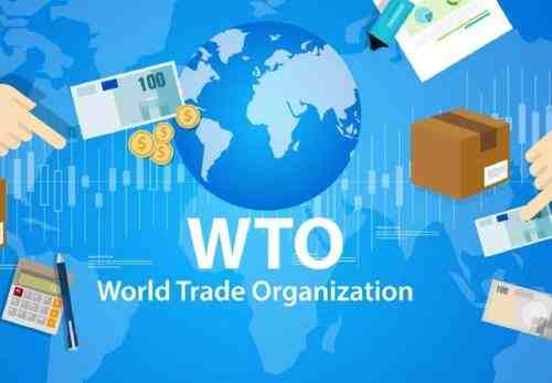 WTO批准欧盟对美采取报复性措施-WTO是什么意思-第3张图片