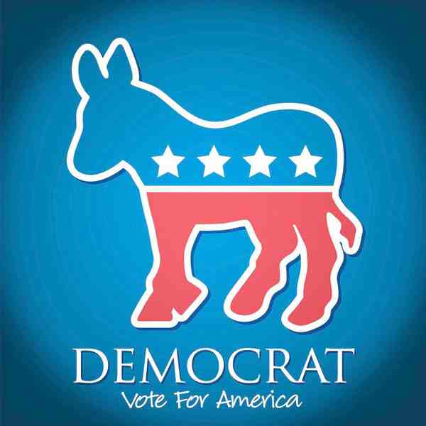 美国民主党得到众议院多数席位-拜登是什么党派-第1张图片