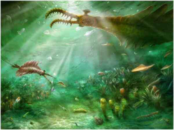 学者发现5亿多年前四不像动物-四不像是什么动物-四不像真的存在吗-第3张图片