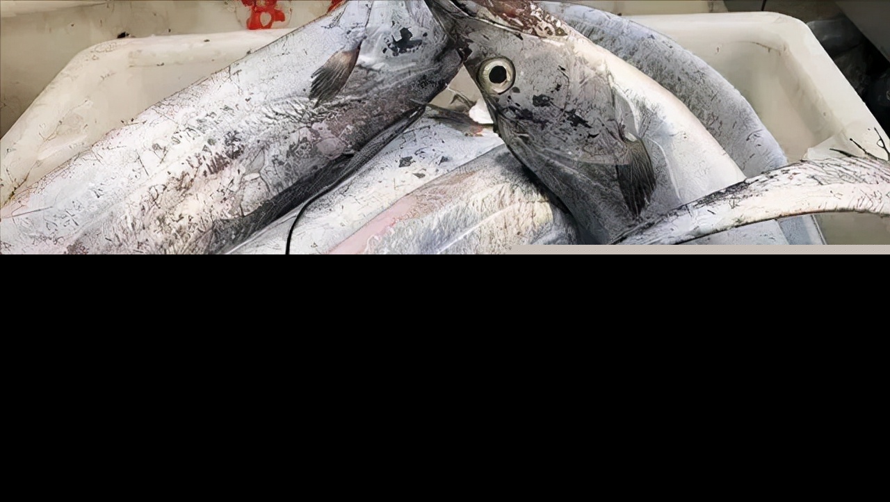 营养价值高的深海鱼有哪些（市面上常见的深海鱼种类排名）-第5张图片