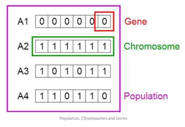 遗传算法（遗传算法的基本概念和实现）-第1张图片