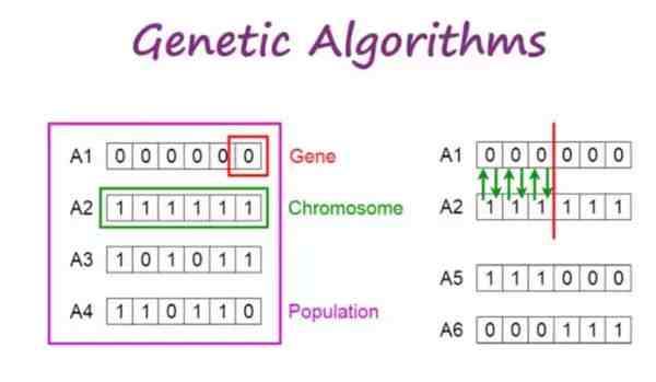 遗传算法（遗传算法的基本概念和实现）-第3张图片