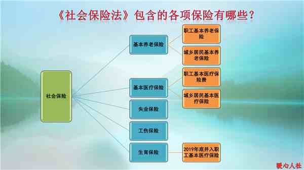 五险是哪五种保险（五险有什么用）-第3张图片