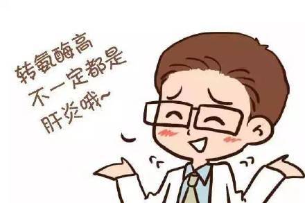 谷丙转氨酶高是怎么回事！（谷丙转氨酶增高的8大原因）-第1张图片