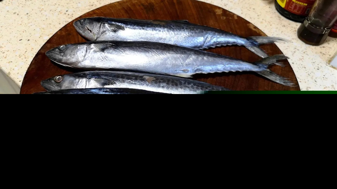 营养价值高的深海鱼有哪些（市面上常见的深海鱼种类排名）-第6张图片