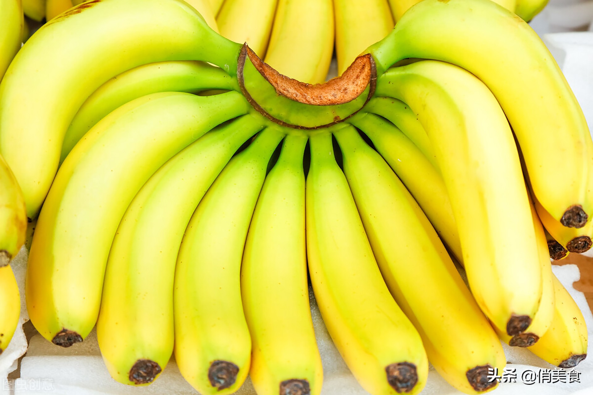 芭蕉和香蕉的区别（记住这3点就清楚芭蕉香蕉的不一样了）-第3张图片