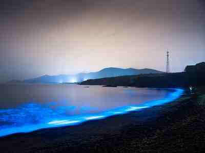 葫芦岛海边现罕见荧光海-荧光海在什么情况下能够出现-第1张图片
