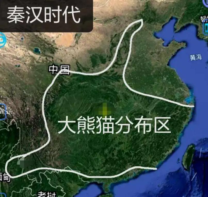 大熊猫生活在什么地方（为什么野生大熊猫只在中国有）-第10张图片