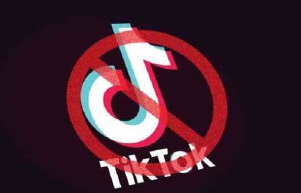 TikTok再起诉美国政府-拜登当选后TikTok有救吗-拜登对TikTok态度-第2张图片