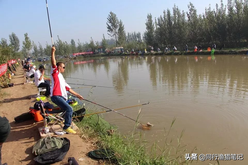 钓鱼线大小型号怎么选（钓鱼应该如何选择鱼线规格）-第3张图片