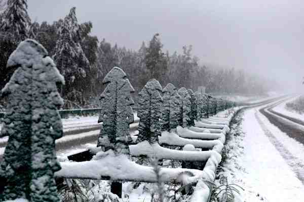 漠河降雪量已达入秋最大级别-漠河降雪量达最大-第2张图片