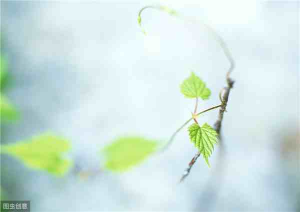 小说的三要素（如何写出好的小说）-第2张图片