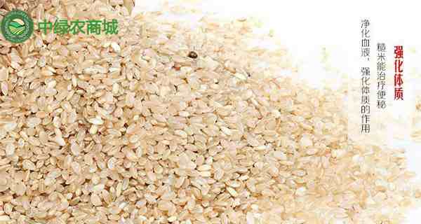 糙米是什么米（糙米可以天天吃吗）-第1张图片