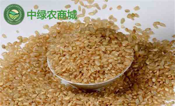糙米是什么米（糙米可以天天吃吗）-第2张图片