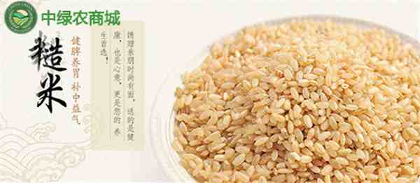 糙米是什么米（糙米可以天天吃吗）-第3张图片