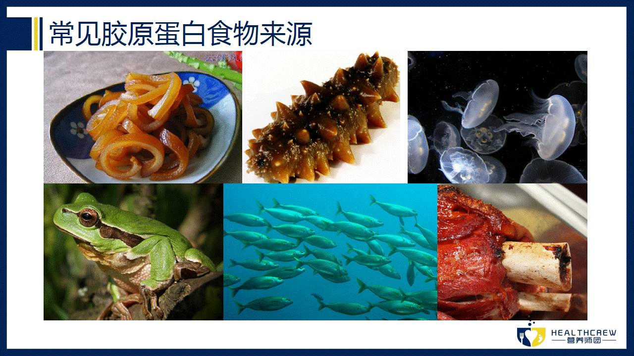 胶原蛋白肽的作用与功效,胶原蛋白肽有奇效?-第5张图片 胶原蛋白肽的作用与功效,胶原蛋白肽有奇效?-第5张图片
