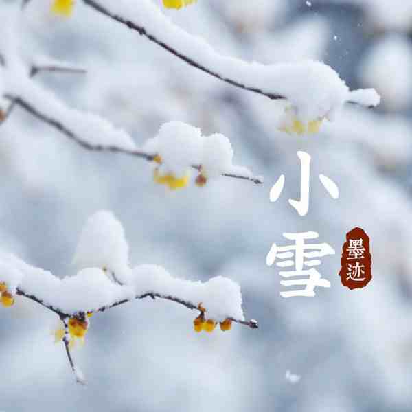 小雪节气下雪意味着什么-小雪节气下雪好吗-第1张图片