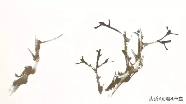 花的画法(史上最全花卉画法)-第11张图片 花的画法(史上最全花卉画法)-第11张图片