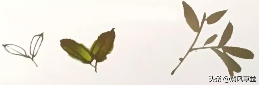 花的画法(史上最全花卉画法)-第10张图片 花的画法(史上最全花卉画法)-第10张图片