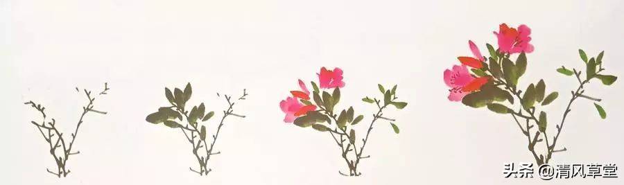 花的画法(史上最全花卉画法)-第14张图片 花的画法(史上最全花卉画法)-第14张图片
