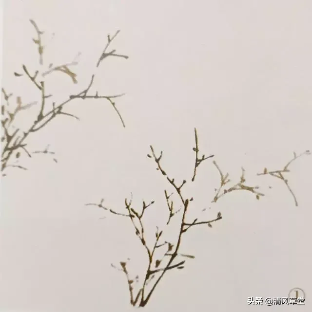 花的画法(史上最全花卉画法)-第17张图片 花的画法(史上最全花卉画法)-第17张图片