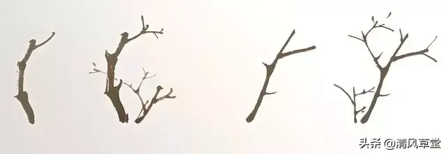 花的画法(史上最全花卉画法)-第12张图片 花的画法(史上最全花卉画法)-第12张图片