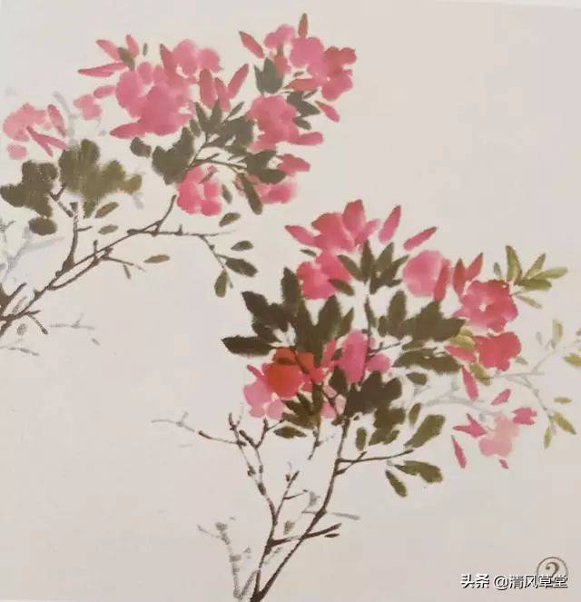花的画法(史上最全花卉画法)-第18张图片 花的画法(史上最全花卉画法)-第18张图片
