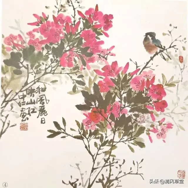 花的画法（史上最全花卉画法）-第20张图片