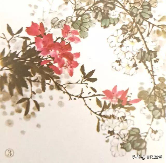 花的画法（史上最全花卉画法）-第23张图片