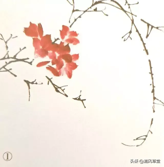 花的画法（史上最全花卉画法）-第21张图片