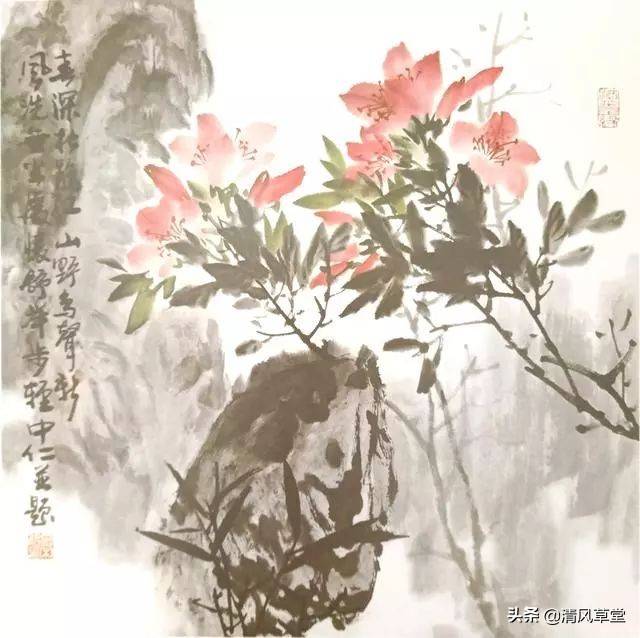 花的画法(史上最全花卉画法)-第27张图片 花的画法(史上最全花卉画法)-第27张图片