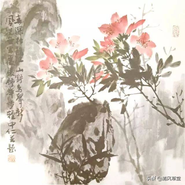 花的画法（史上最全花卉画法）-第27张图片