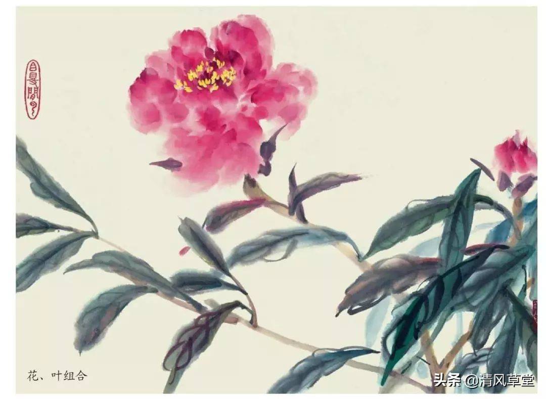 花的画法(史上最全花卉画法)-第33张图片 花的画法(史上最全花卉画法)-第33张图片
