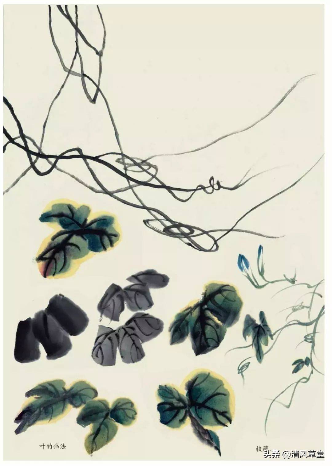 花的画法(史上最全花卉画法)-第59张图片 花的画法(史上最全花卉画法)-第59张图片