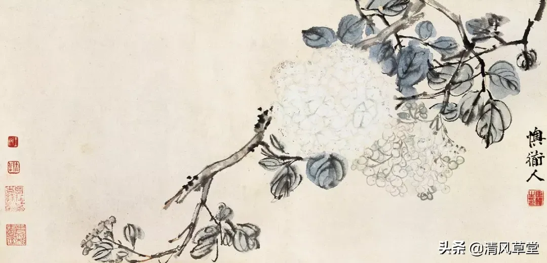 花的画法(史上最全花卉画法)-第68张图片 花的画法(史上最全花卉画法)-第68张图片