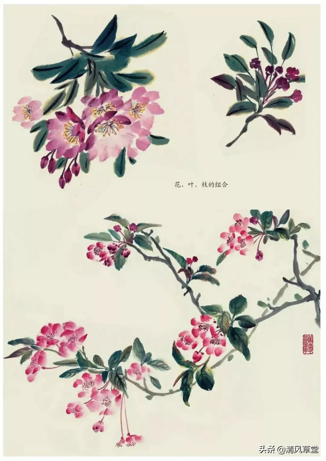 花的画法（史上最全花卉画法）-第67张图片