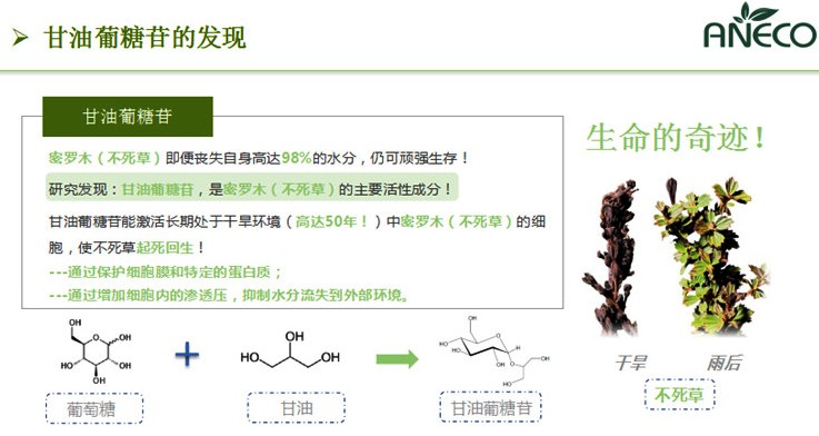 有妊娠纹怎么办？（长了妊娠纹不要慌！）-第13张图片