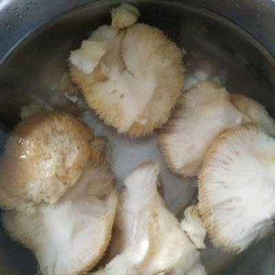 猴头菇炖排骨的做法（简单好吃的猴头菇炖排骨）-第3张图片