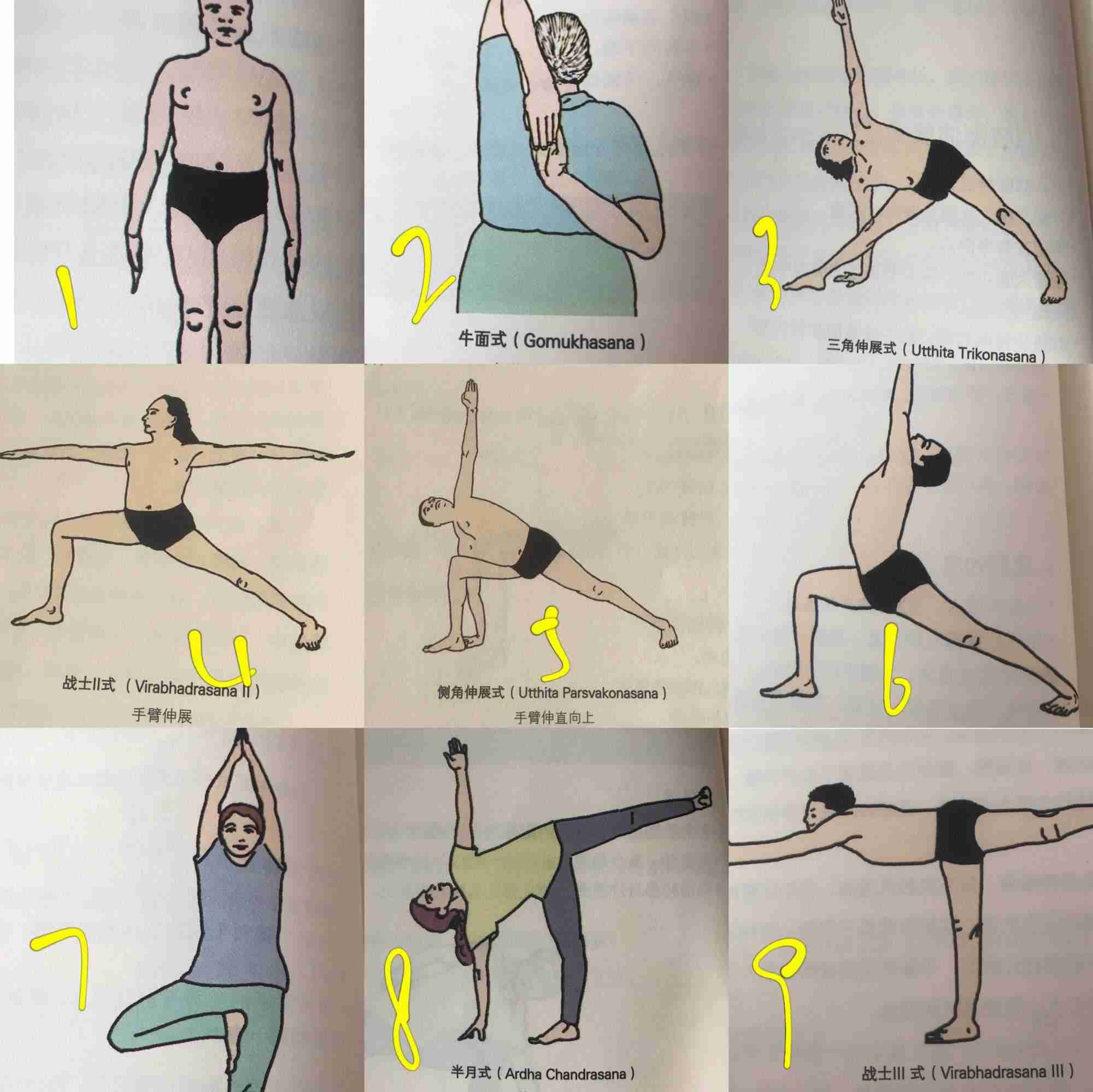 基本瑜伽动作（瑜伽基础体式盘点）-第3张图片
