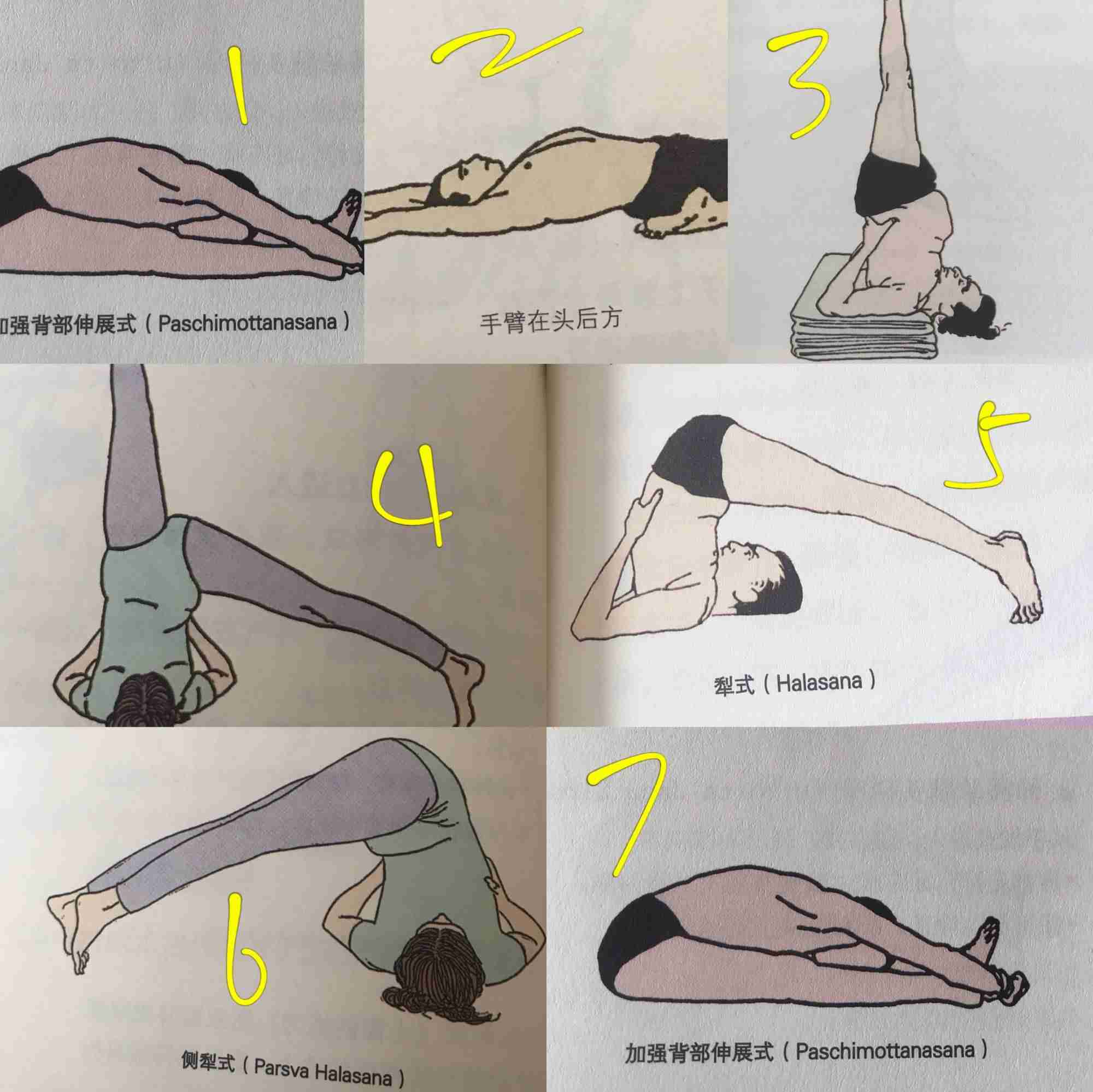 基本瑜伽动作（瑜伽基础体式盘点）-第8张图片