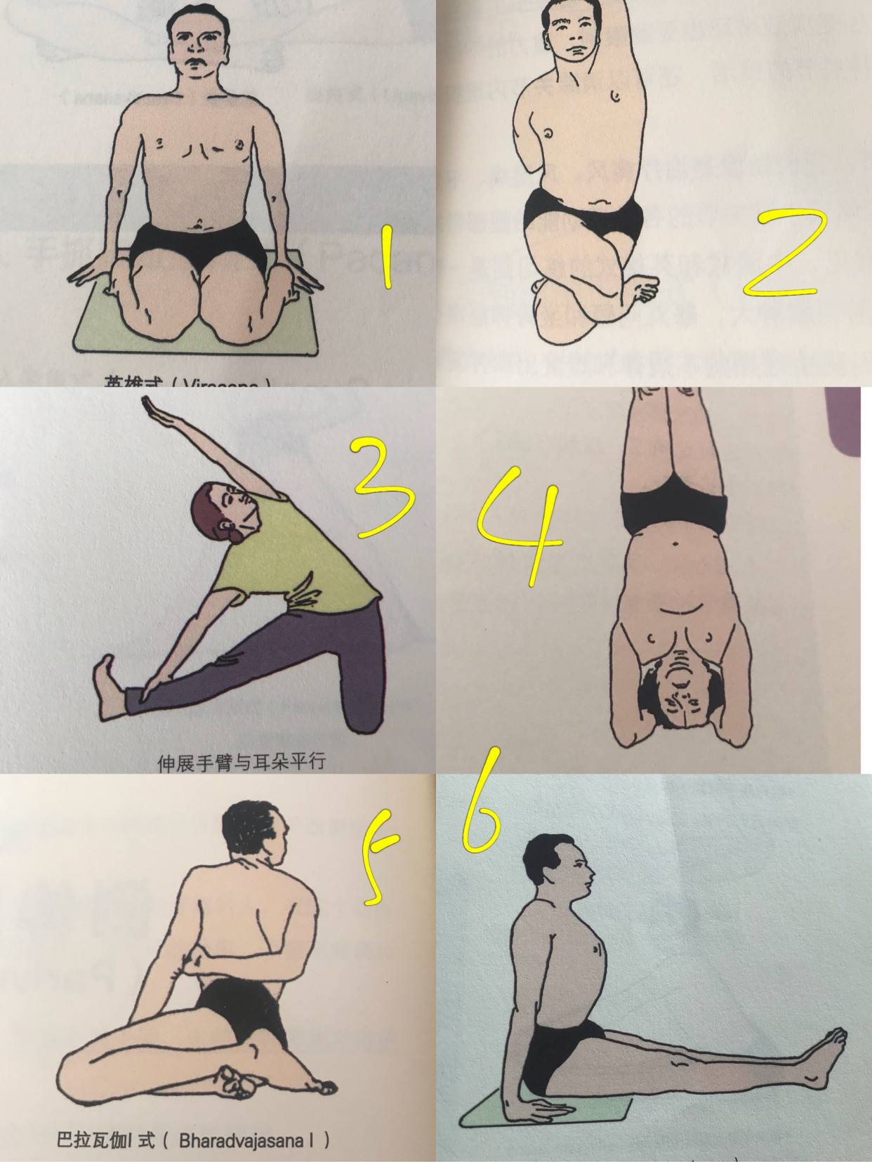 基本瑜伽动作（瑜伽基础体式盘点）-第6张图片